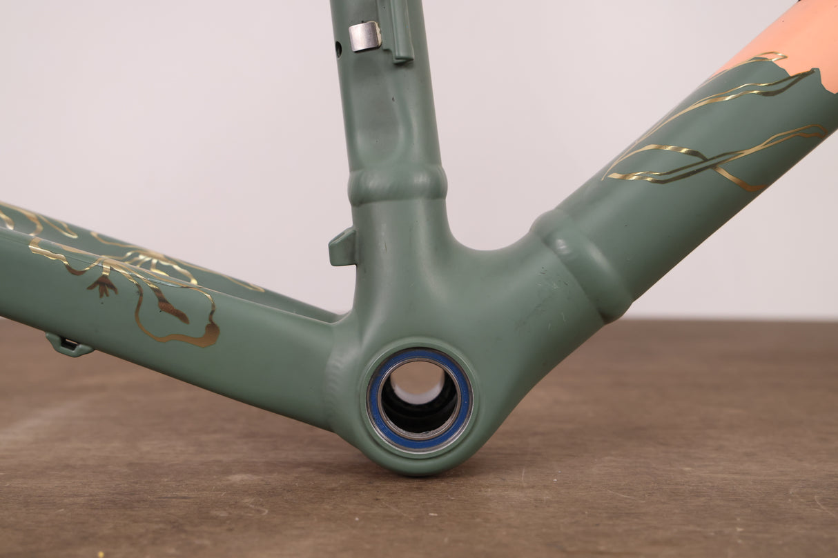 52cm Specialized Allez Sprint Forest Fire Alloy Disc Brake Road Frameset