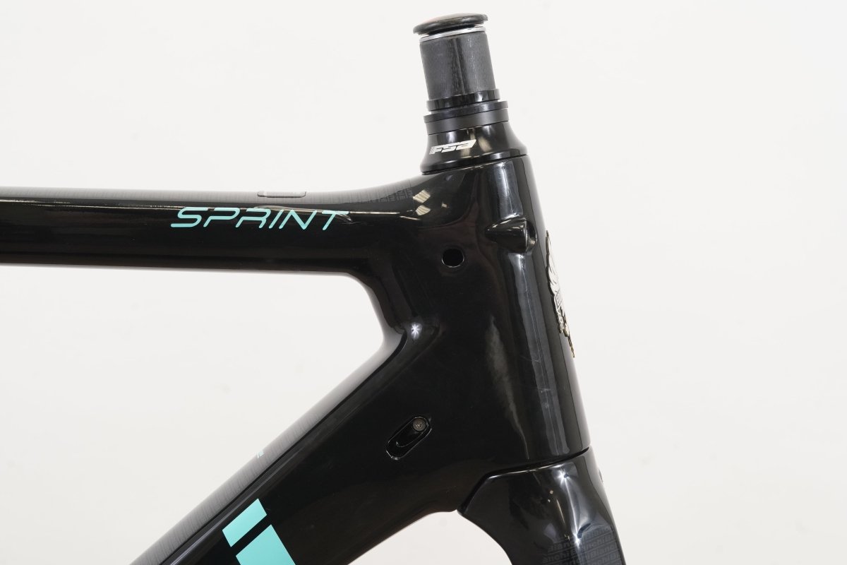53cm Bianchi Sprint Carbon Rim Brake Road Frameset