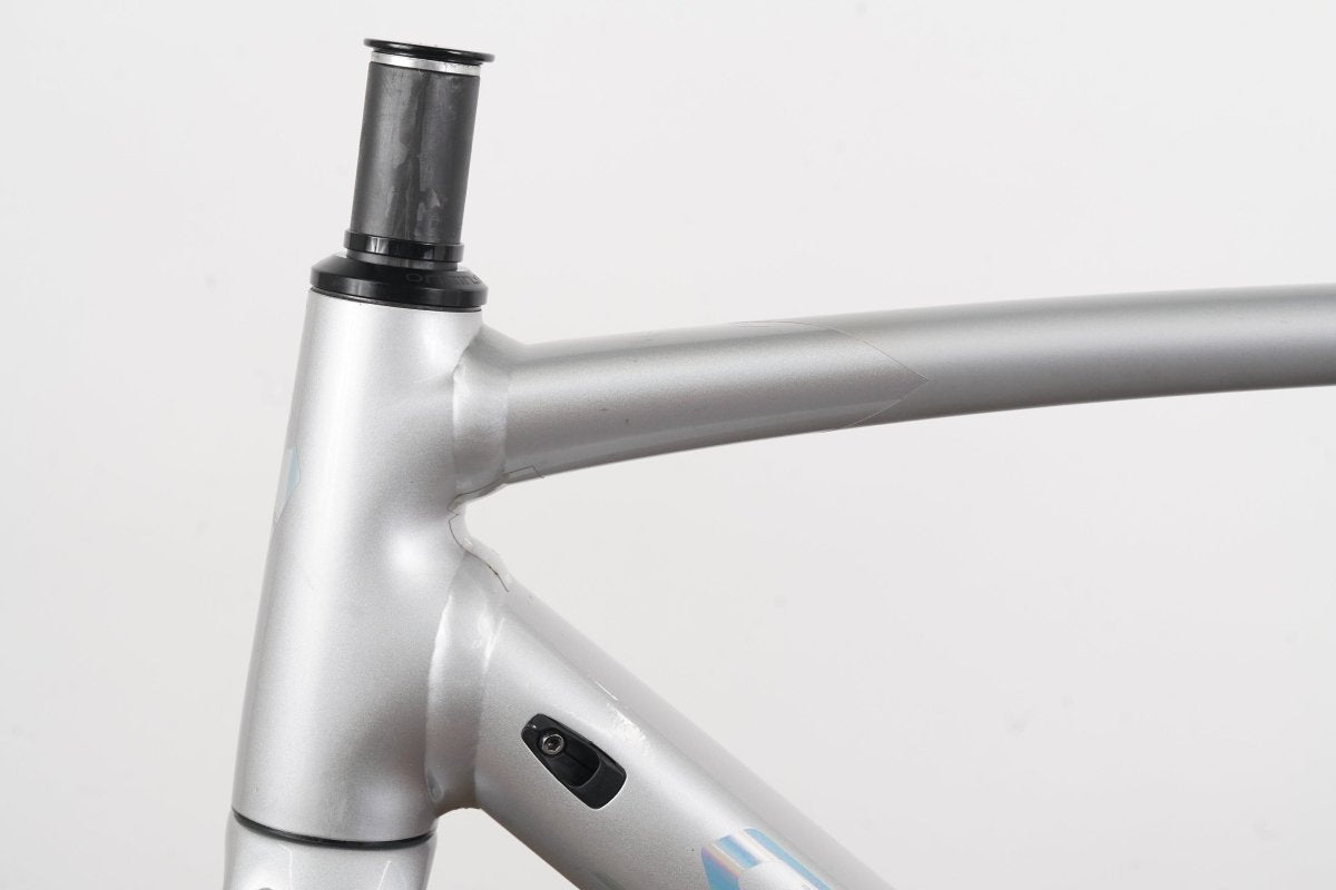 54cm Specialized Allez Sprint Overexposed Sagan Edition Alloy Disc Road Frameset