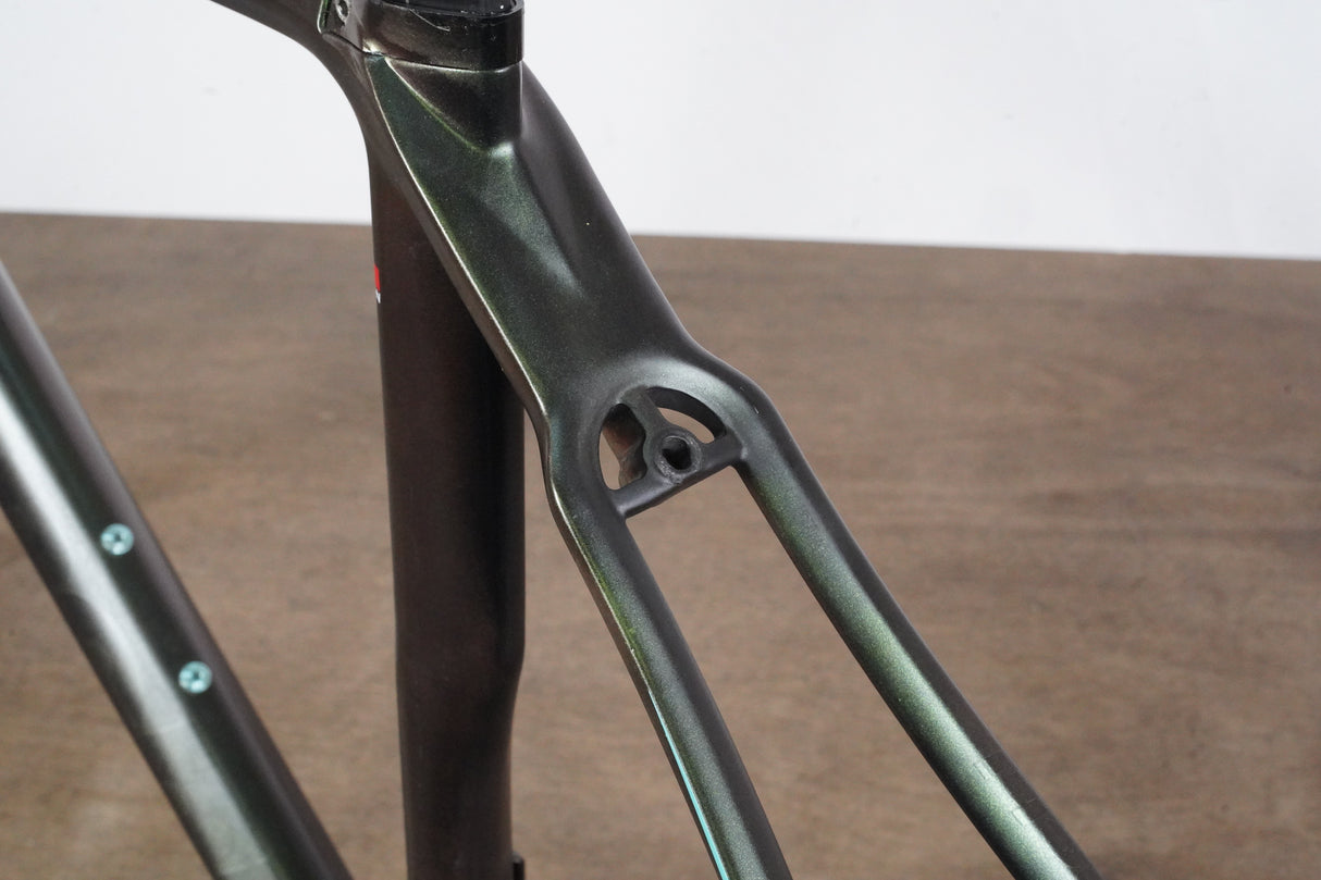 55cm Bianchi Oltre XR2 Carbon Rim Brake Road Frameset *Custom Painted*