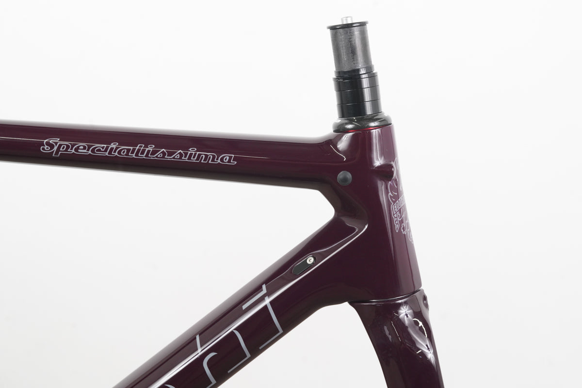 53cm Bianchi Specialissima Carbon Rim Brake Road Frameset *Custom Paint*