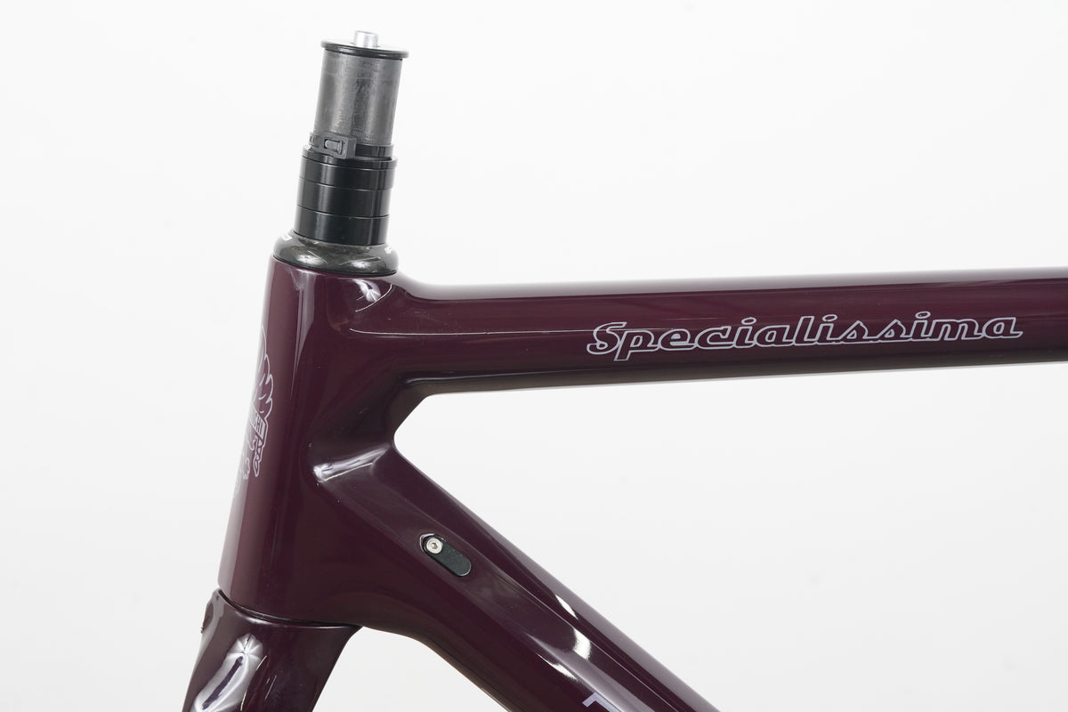 53cm Bianchi Specialissima Carbon Rim Brake Road Frameset *Custom Paint*