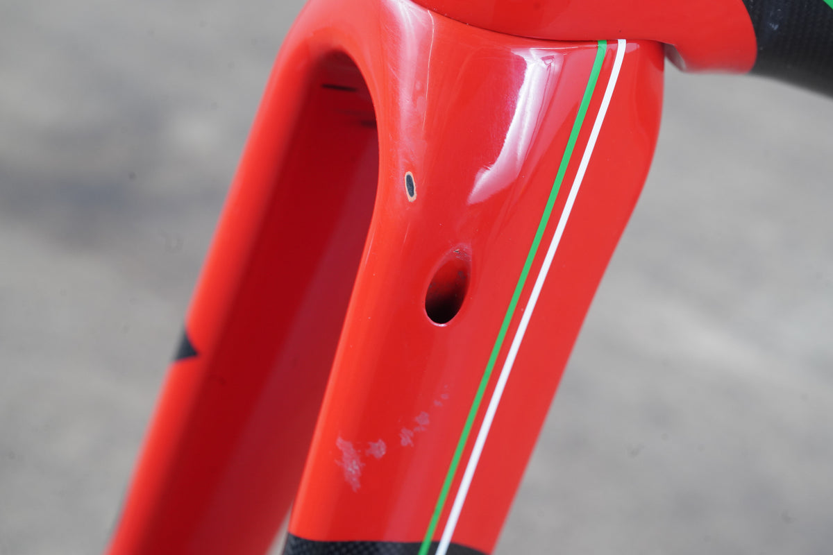 *Damaged* 54cm Sarto Energia Di2 Carbon Disc Brake Frameset *Custom Geometry*