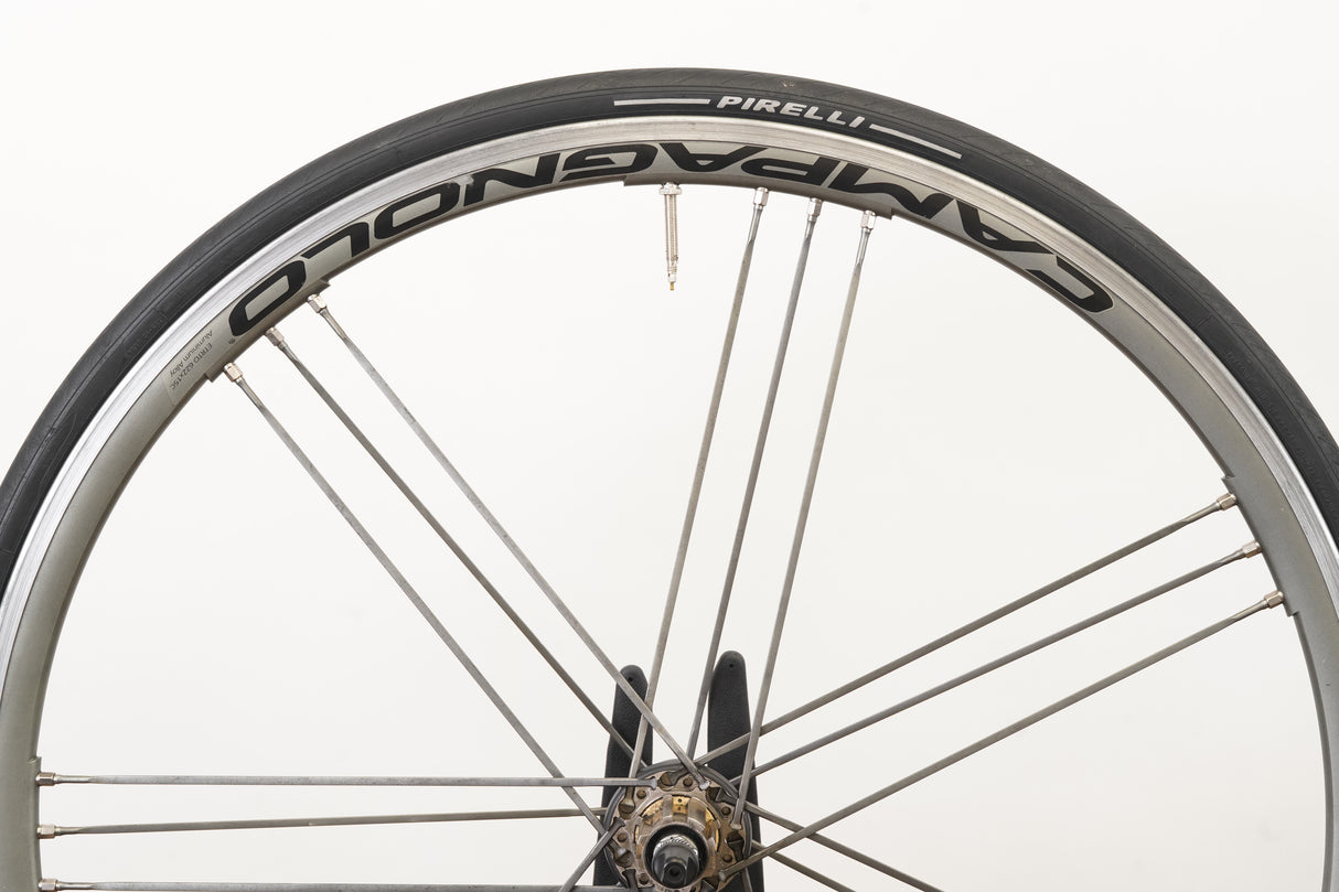 Campagnolo Shamal Ultra Alloy Clincher Rim Brake Wheelset Campagnolo 11 Speed