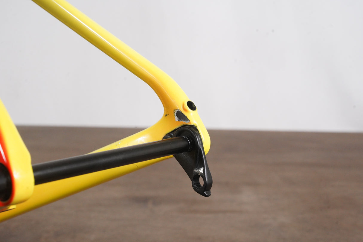 49cm Specialized Roubaix Sport Future Shock Carbon Disc Brake Frameset