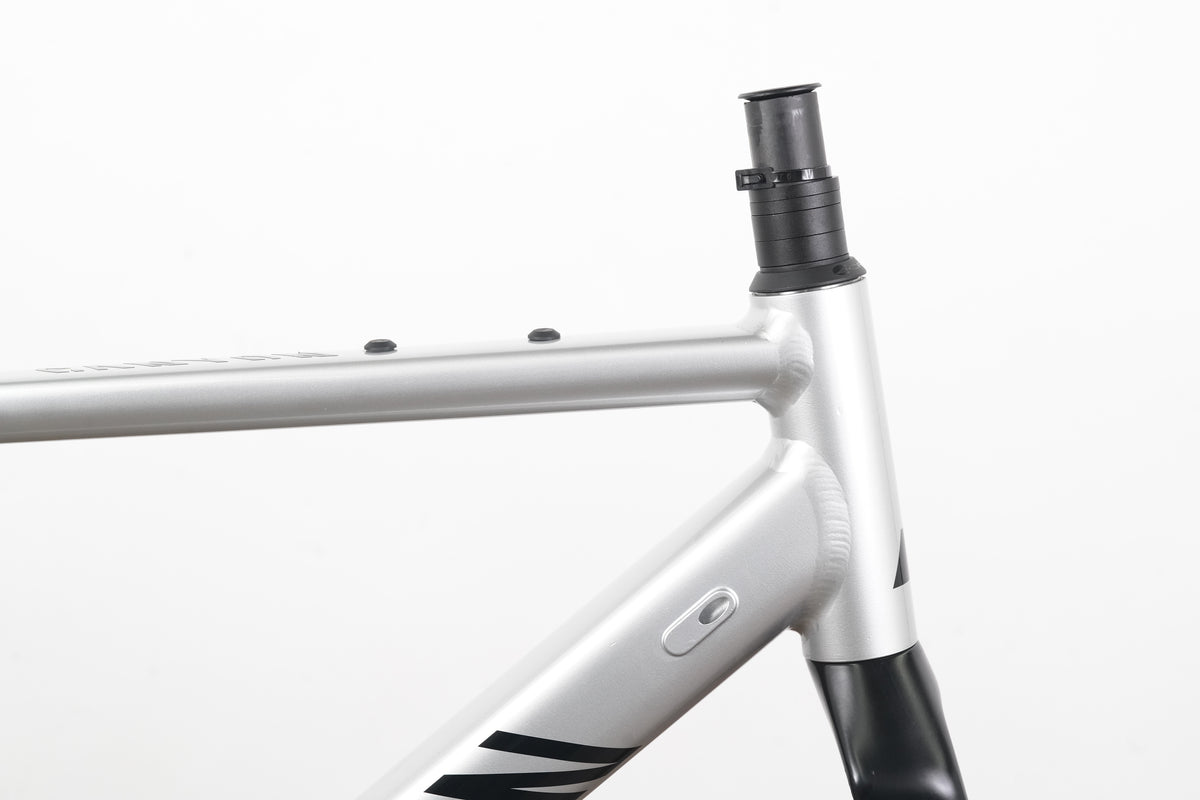 2026 S (Small) Canyon Endurace Allroad Disc Brake Road Frameset