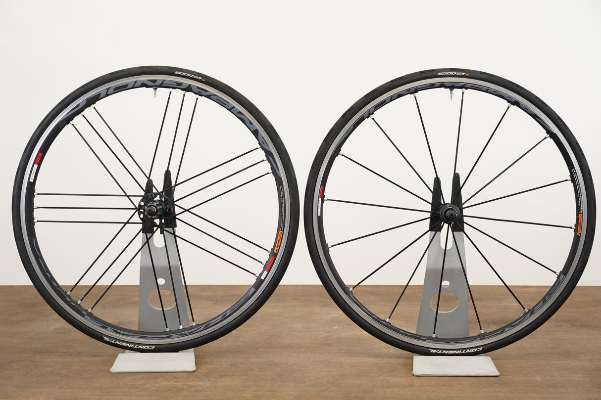 Campagnolo Shamal Ultra Alloy Tubeless Rim Brake Wheelset Campagnolo 11 Speed