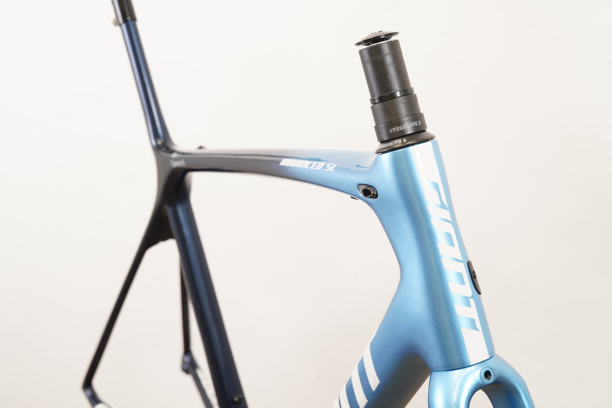 M/L Giant TCR Advanced SL ISP Carbon Rim Brake Road Frameset *Custom Paint*