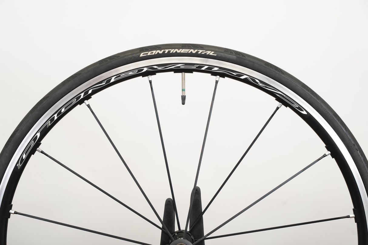 Campagnolo Shamal Ultra Alloy Clincher Rim Brake Wheelset Campagnolo 11 Speed