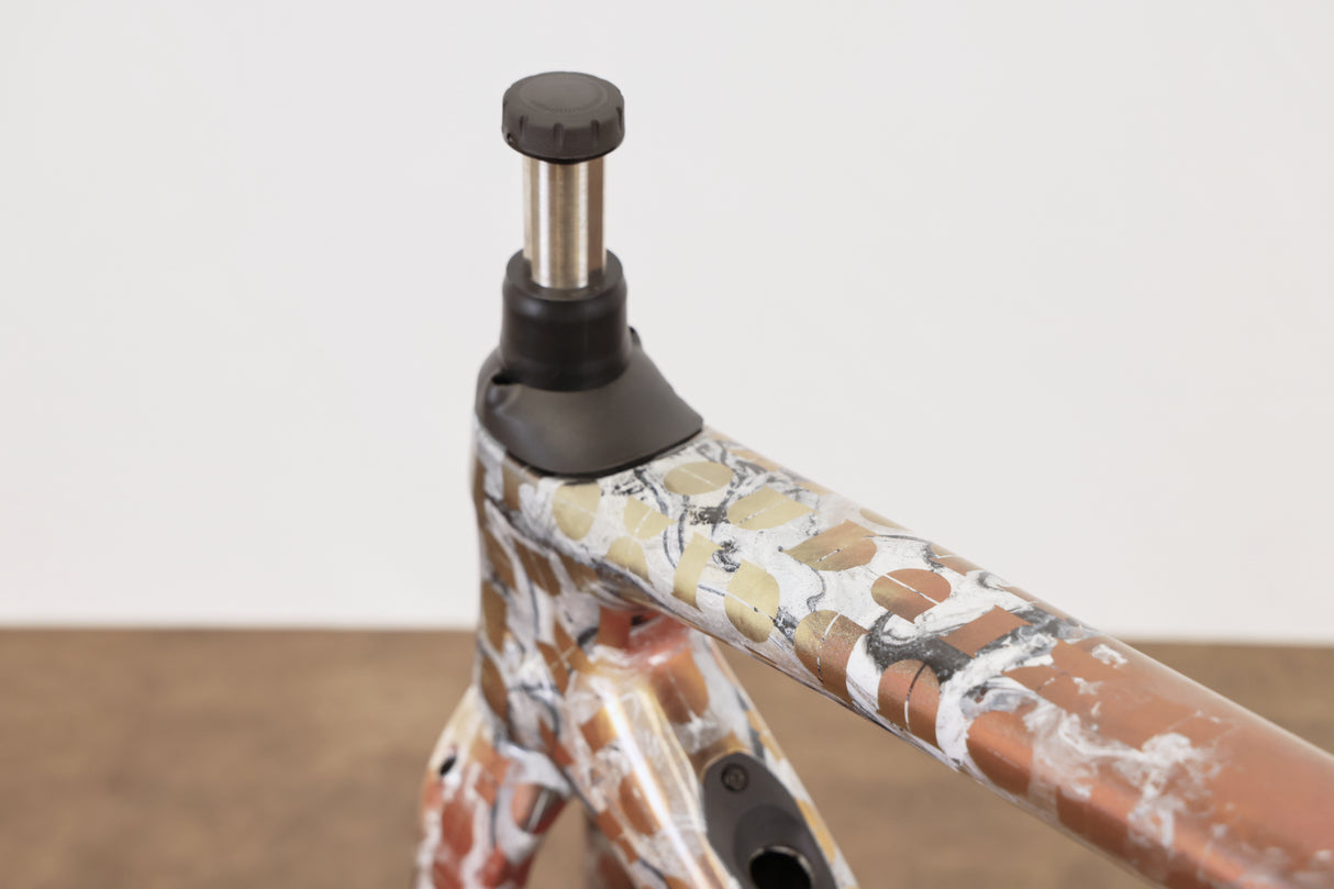 2020 57cm Specialized S-WORKS Roubaix Team Future Shock Carbon Disc Frameset