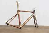 2020 57cm Specialized S-WORKS Roubaix Team Future Shock Carbon Disc Frameset
