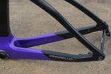 2023 55cm Pinarello Dogma F Carbon Disc Brake Frameset