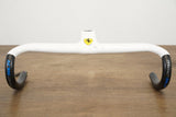 42cm 110mm Giant Contact SLR OD2 Carbon Barstem Handlebar 1 1/4" *Custom Paint*