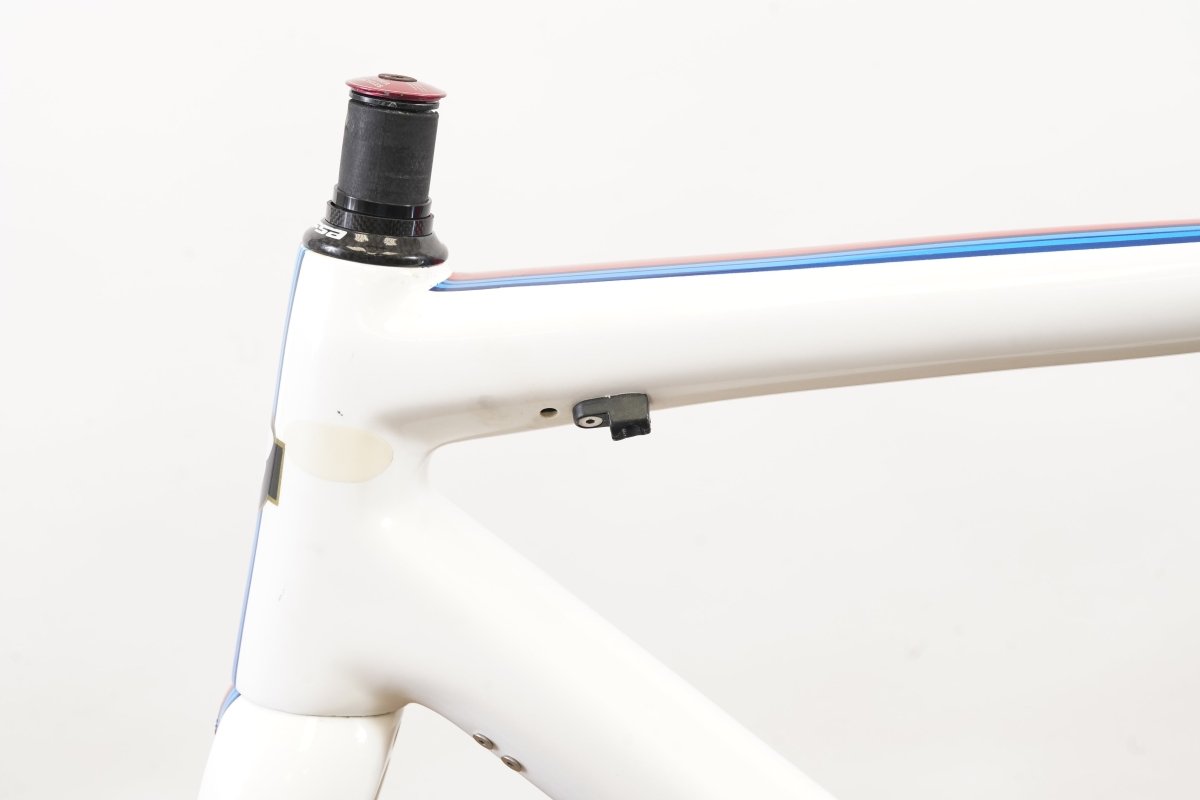 54cm BMC Teammachine SLR01 Carbon Rim Brake Frameset SLR 01 *Custom Painted*