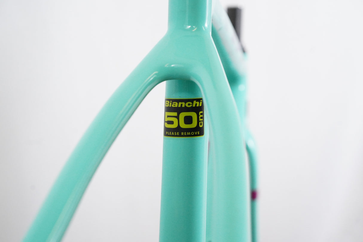 2021 50cm Bianchi Zolder Pro Carbon Disc Brake Gravel CX Frameset