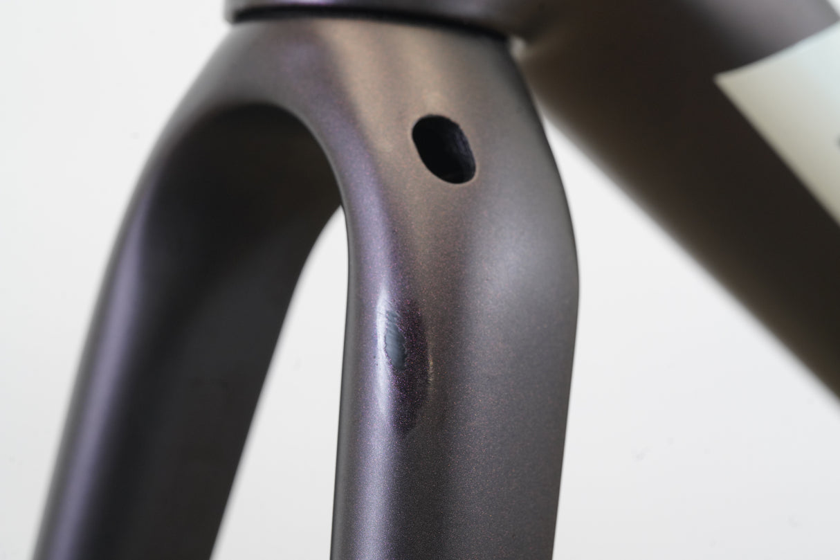 2021 S (Small) Giant TCR Advanced Pro Carbon Disc Brake Road Frameset