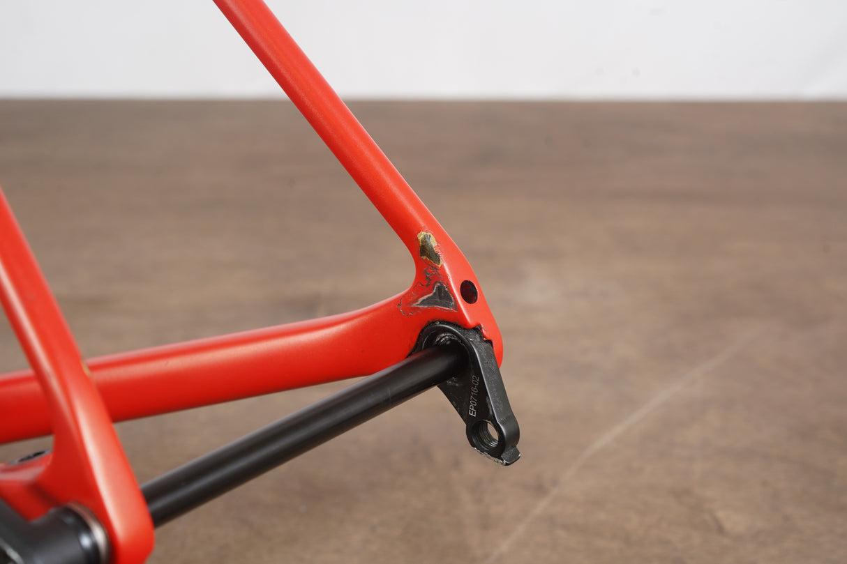 L (Large) Canyon Endurace CF SLX Di2 Carbon Disc Brake Road Frameset