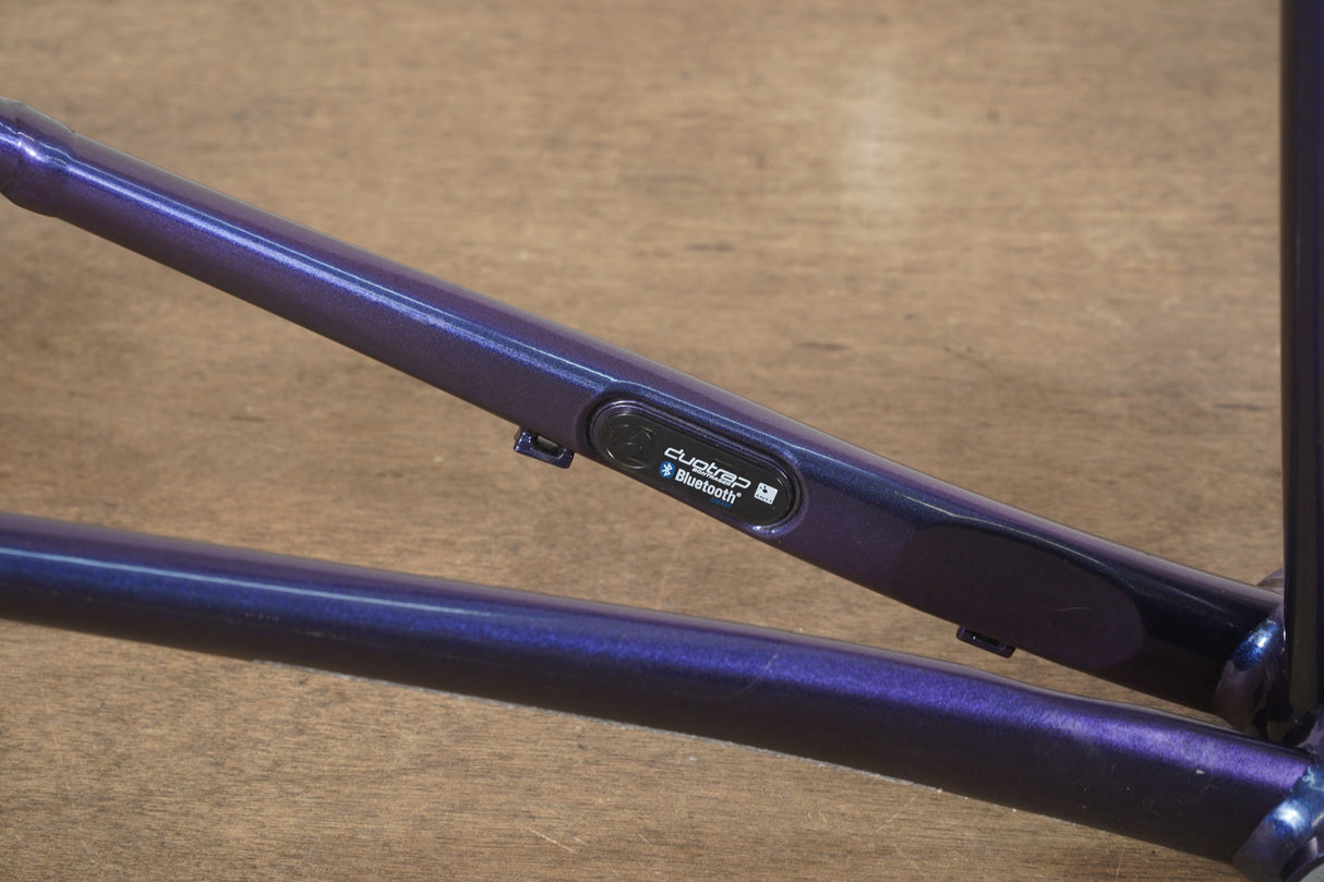 2020 58cm Trek Emonda ALR Alloy Disc Brake Road Frameset