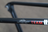 *Damaged* L (Large) Giant TCR Advanced Pro Team Sunweb Carbon Rim Road Frameset