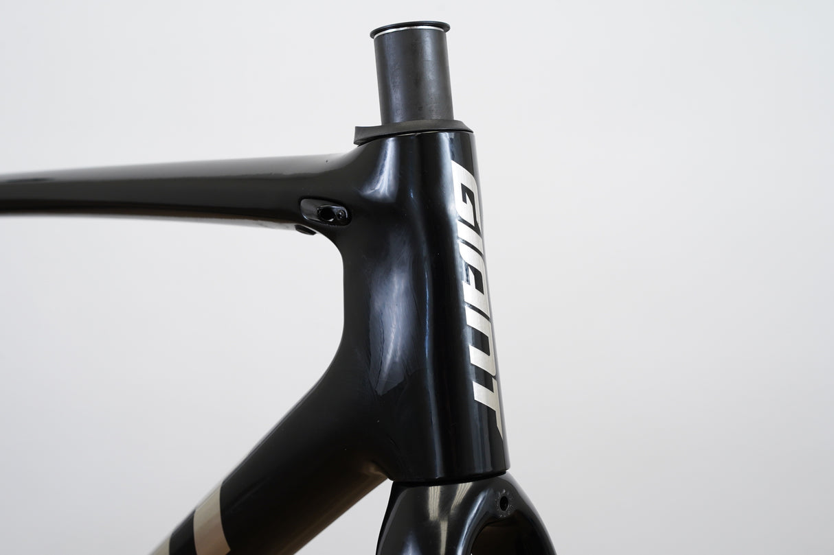 M (Medium) Giant TCR Advanced Pro Carbon Rim Brake Road Frameset