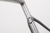 54cm Specialized Allez Sprint Overexposed Sagan Edition Alloy Disc Road Frameset