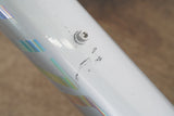 54cm Specialized Allez Sprint Overexposed Sagan Edition Alloy Disc Road Frameset