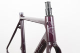 53cm Bianchi Specialissima Carbon Rim Brake Road Frameset *Custom Paint*