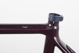53cm Bianchi Specialissima Carbon Rim Brake Road Frameset *Custom Paint*