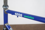 60cm Gios Evolution Steel Rim Brake Road Frameset