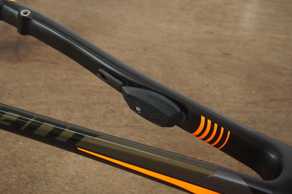 M (Medium) Giant TCR Advanced Pro Carbon Disc Brake Road Frameset