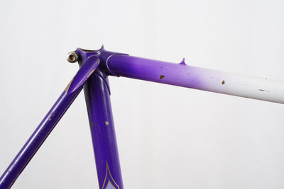 57cm Serotta Nova Special Steel Rim Brake Frameset