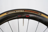 REAR Zipp 303 Firecrest 88/188 Clincher Carbon Rim Brake Wheel Campagnolo 11