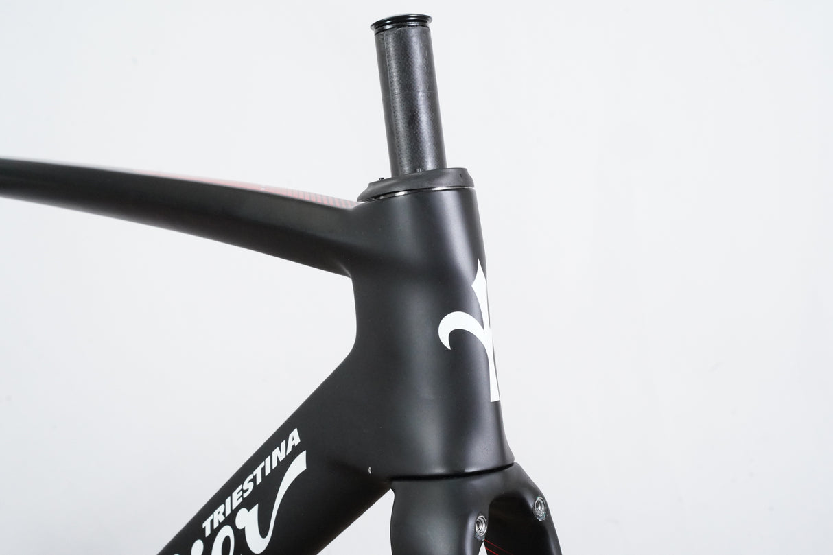 M (Medium) Wilier Triestina Cento10 SL Carbon Aero Rim Brake Road Frameset Cento 10