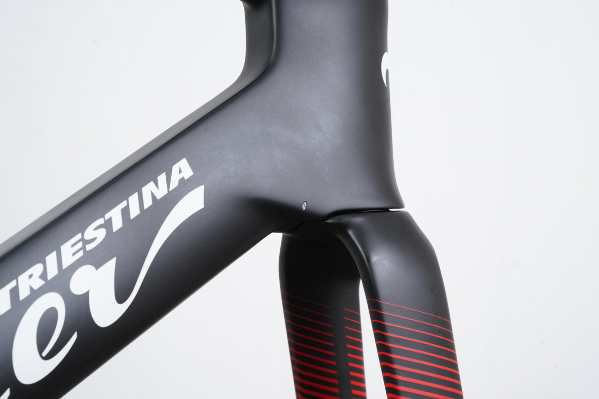 M (Medium) Wilier Triestina Cento10 SL Carbon Aero Rim Brake Road Frameset Cento 10