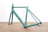 M (Medium) Canyon Endurace CF SL Carbon Disc Brake Road Frameset