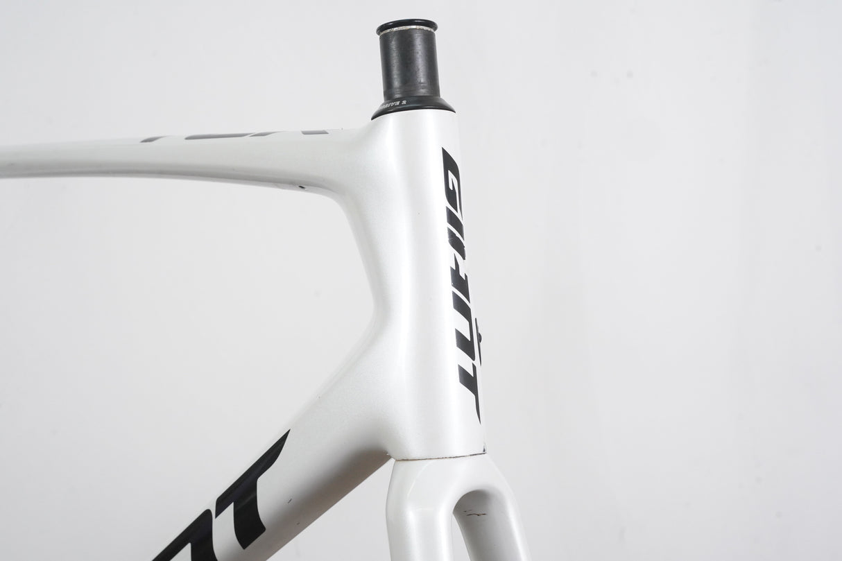 L (58cm) Giant TCR Advanced SL ISP Carbon Disc Brake Road Frameset *Custom Paint*