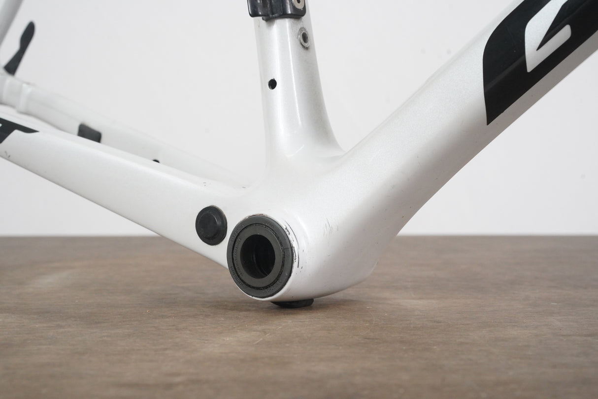 L (58cm) Giant TCR Advanced SL ISP Carbon Disc Brake Road Frameset *Custom Paint*