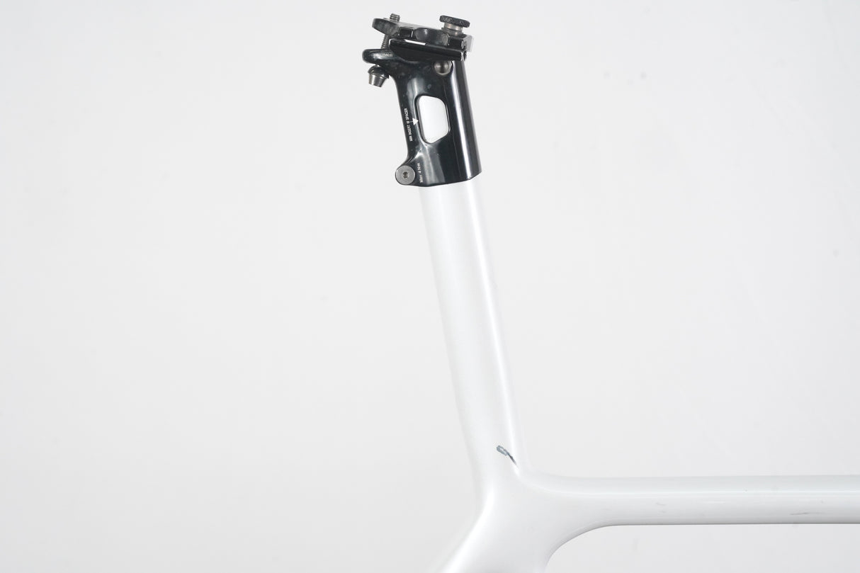 L (58cm) Giant TCR Advanced SL ISP Carbon Disc Brake Road Frameset *Custom Paint*