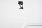 L (58cm) Giant TCR Advanced SL ISP Carbon Disc Brake Road Frameset *Custom Paint*