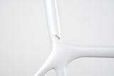 L (58cm) Giant TCR Advanced SL ISP Carbon Disc Brake Road Frameset *Custom Paint*