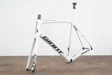 L (58cm) Giant TCR Advanced SL ISP Carbon Disc Brake Road Frameset *Custom Paint*