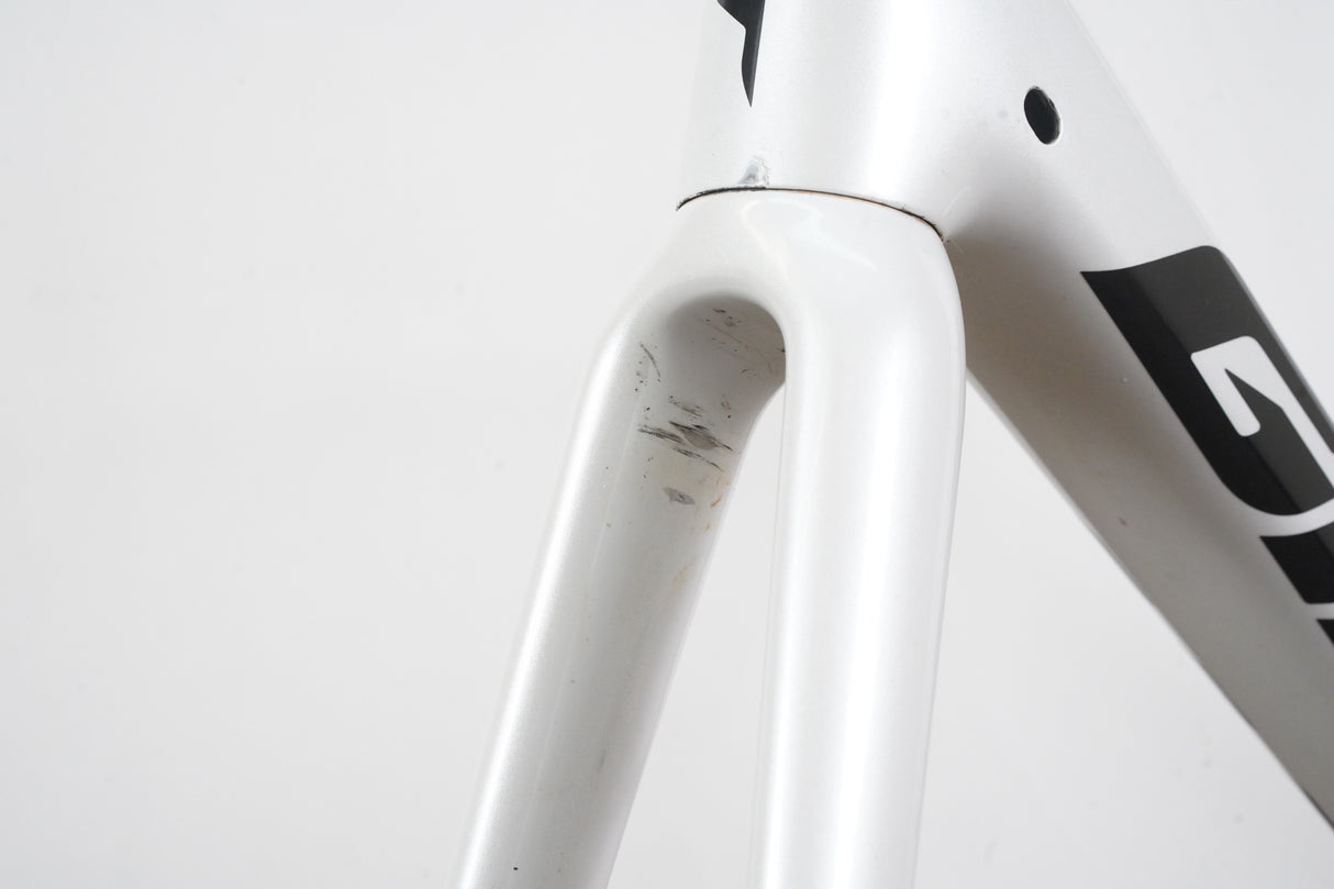 L (58cm) Giant TCR Advanced SL ISP Carbon Disc Brake Road Frameset *Custom Paint*