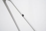 L (58cm) Giant TCR Advanced SL ISP Carbon Disc Brake Road Frameset *Custom Paint*