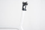 L (58cm) Giant TCR Advanced SL ISP Carbon Disc Brake Road Frameset *Custom Paint*