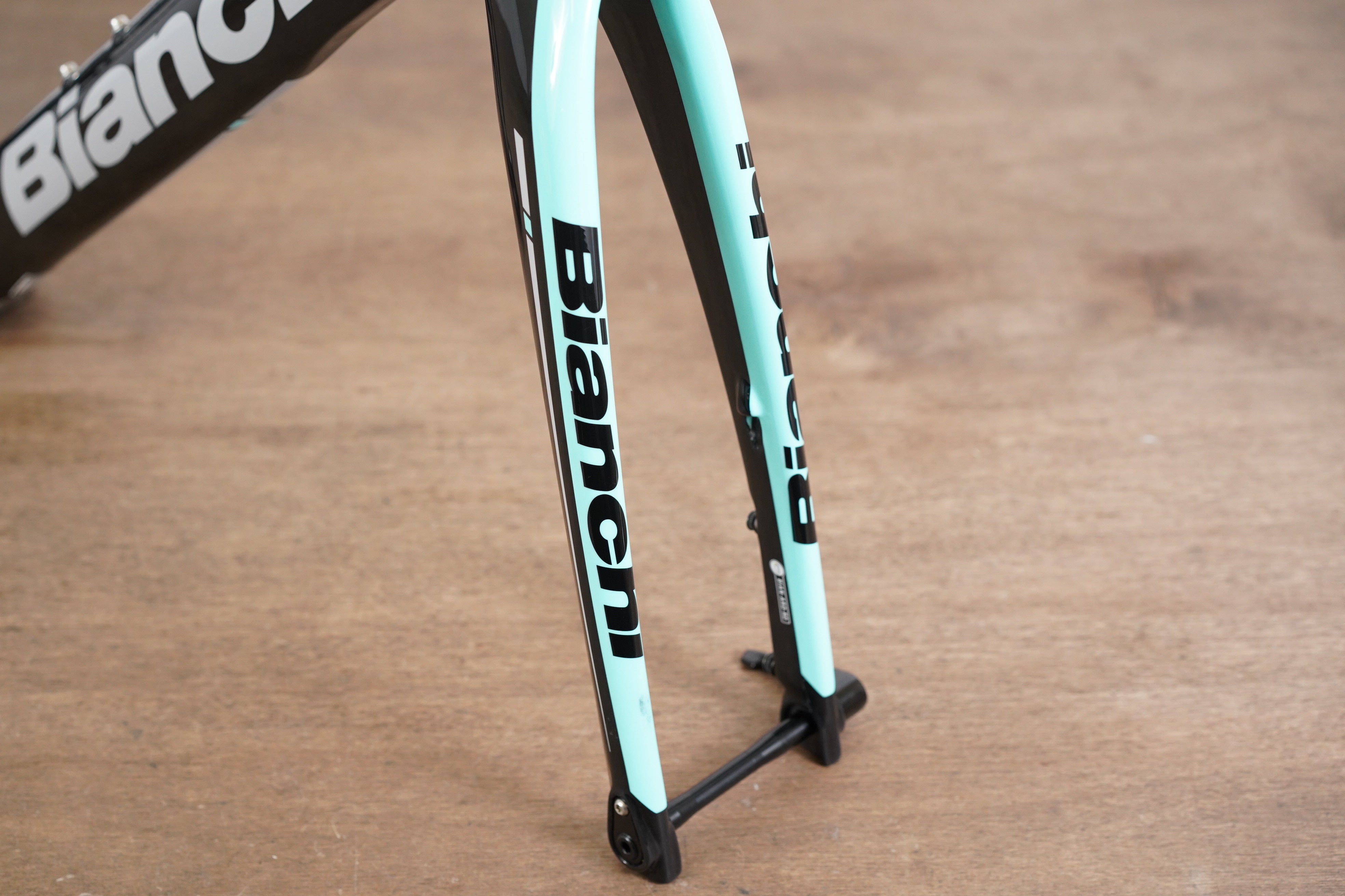 Bianchi fashion disc frameset