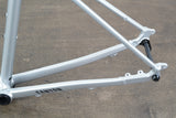 2026 S (Small) Canyon Endurace Allroad Disc Brake Road Frameset