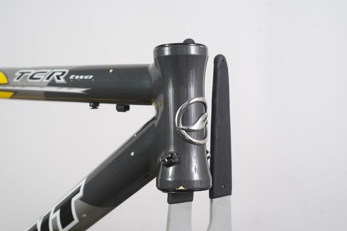 S (Small) Giant TCR Two Alloy Rim Brake Road Frame Only