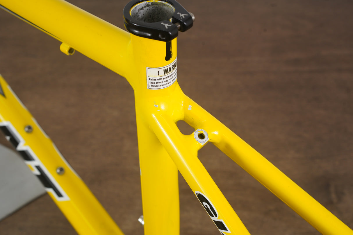 S (Small) Giant TCR Two Alloy Rim Brake Road Frame Only