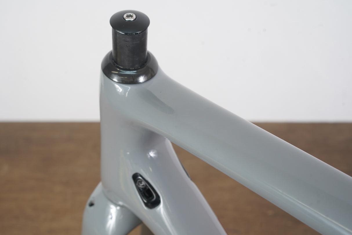 54cm Specialized Crux Expert Carbon Disc Brake Gravel CX Frameset *Custom Painted*