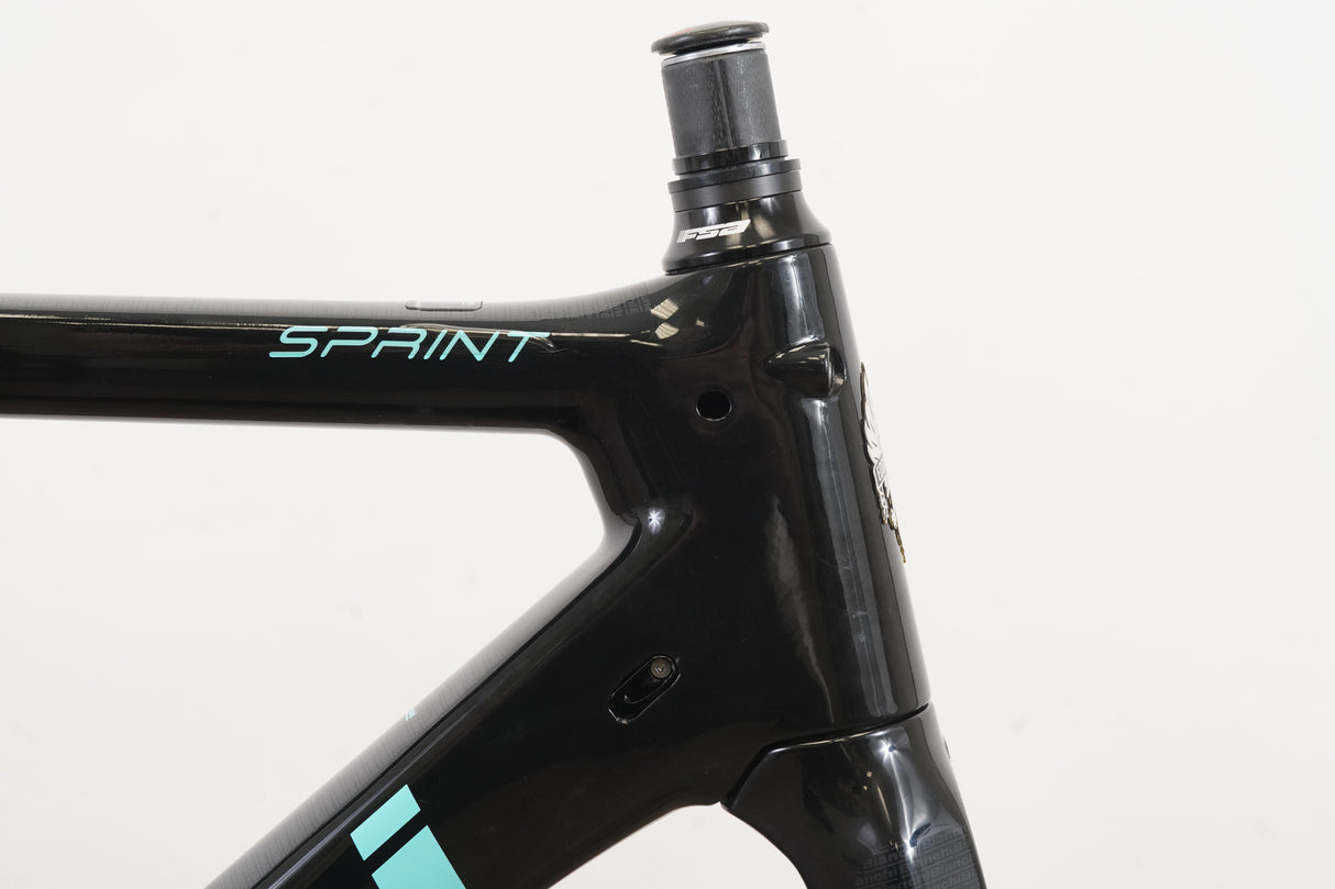 53cm Bianchi Sprint Carbon Rim Brake Road Frameset